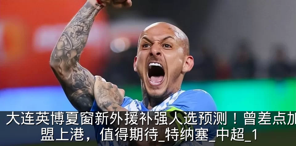 大连英博夏窗新外援补强人选预测!曾差点加盟上港,值得期待_特纳塞_中超_1